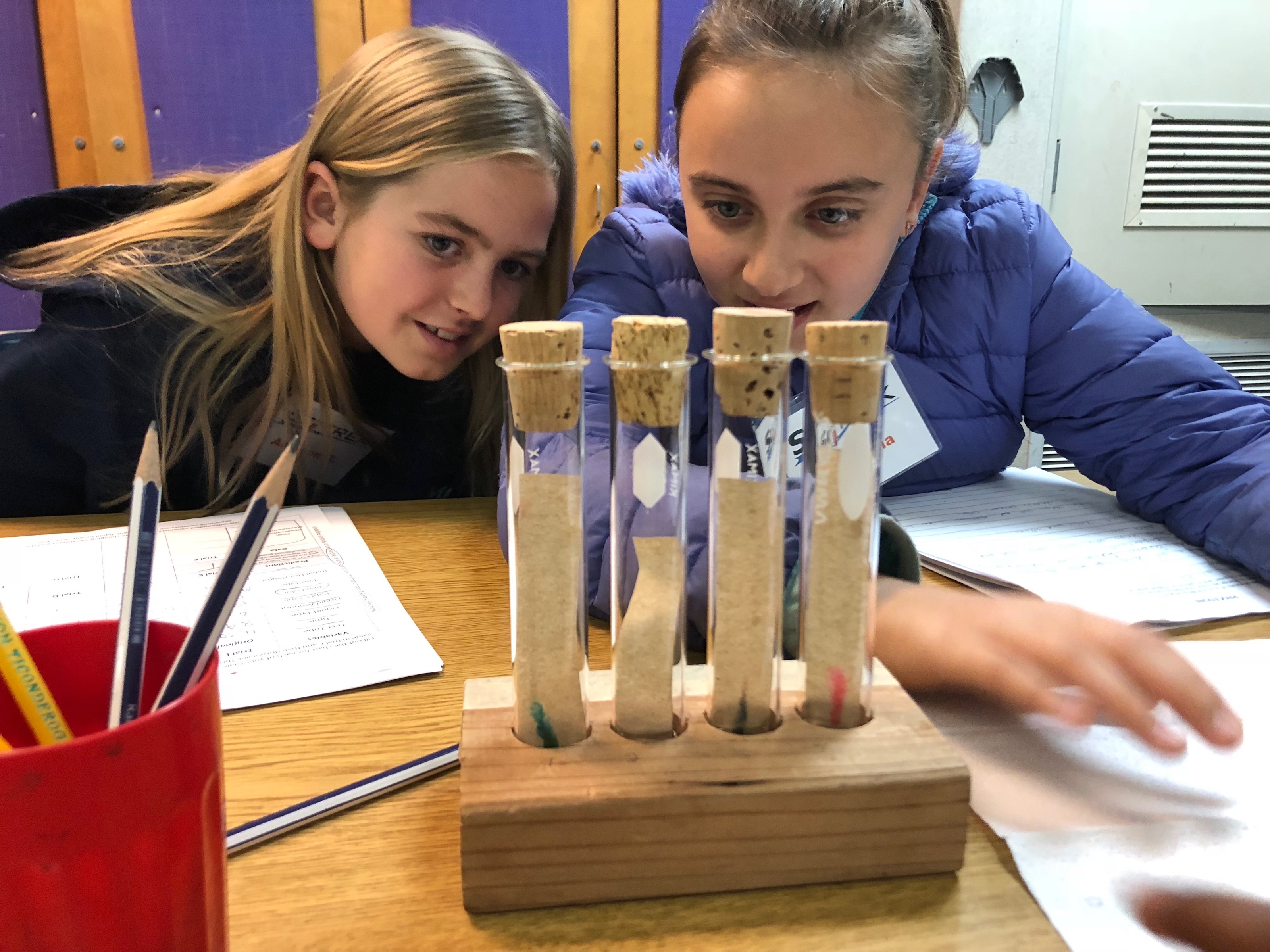 5th Grade Chromatography Image